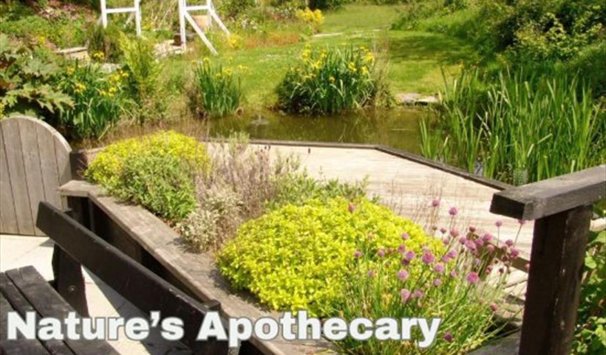 The Manx Herbalist – Nature's Apothecary: The Wellbeing Garden