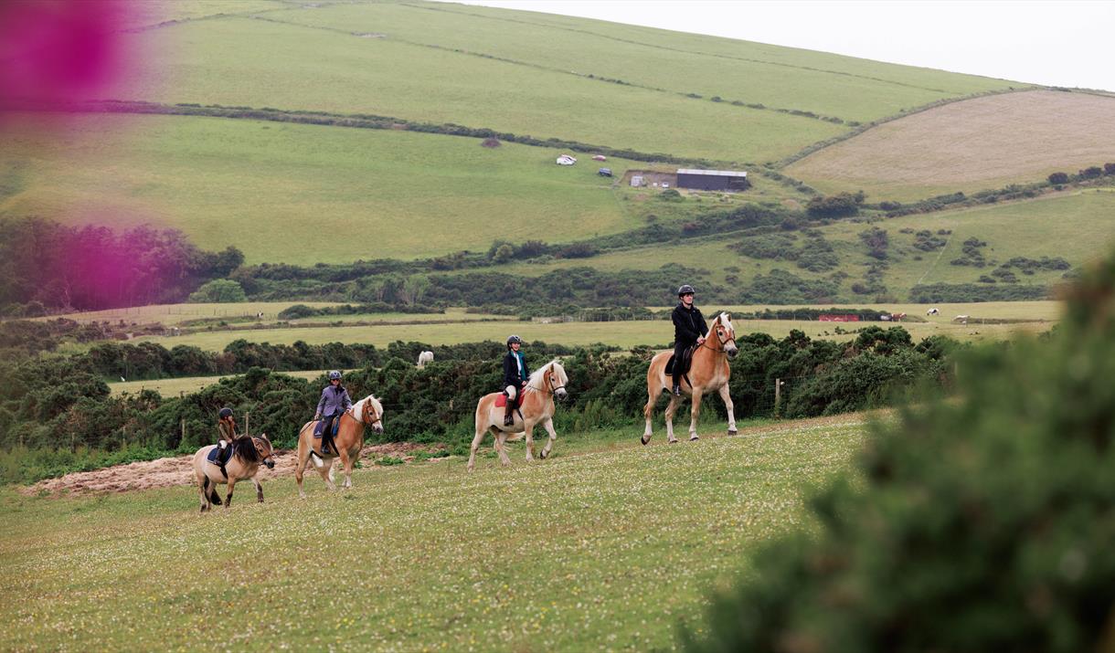 Ballahimmin Riding and Pony Trekking Centre