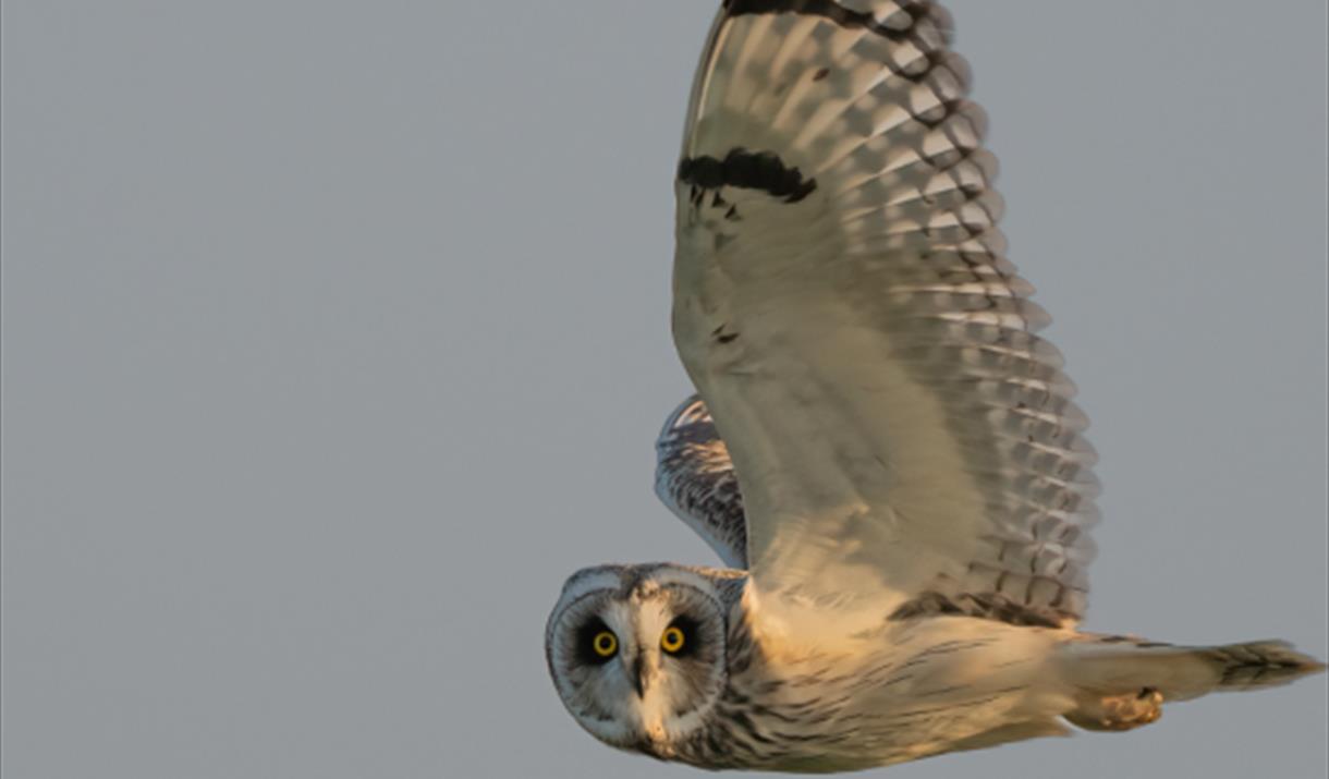 Wild Mann Nature Photography Competition
