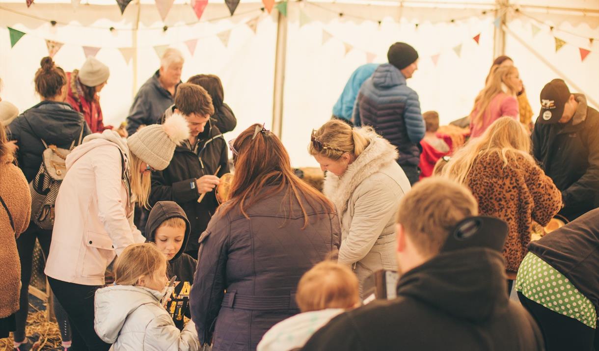 Hop tu Naa Festival