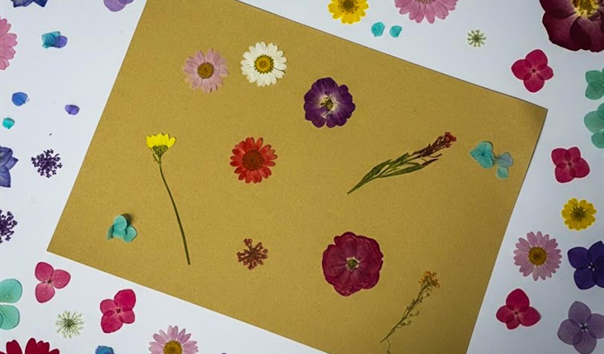 Little Art Explorers – Flower Power