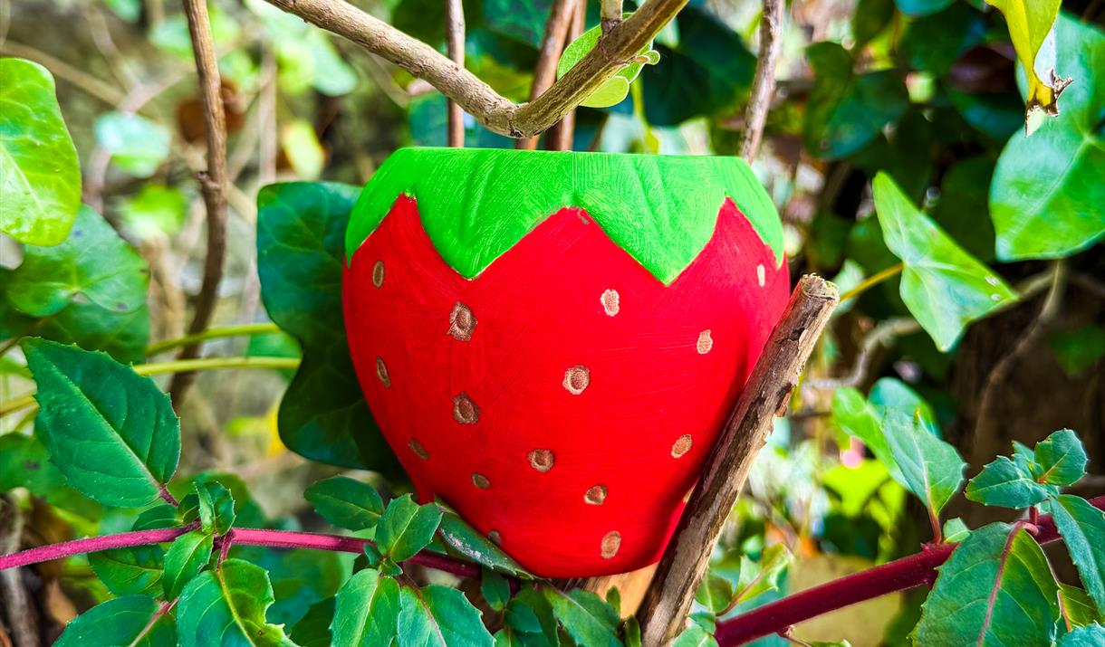 Little Makers – Strawberry Planter Workshop
