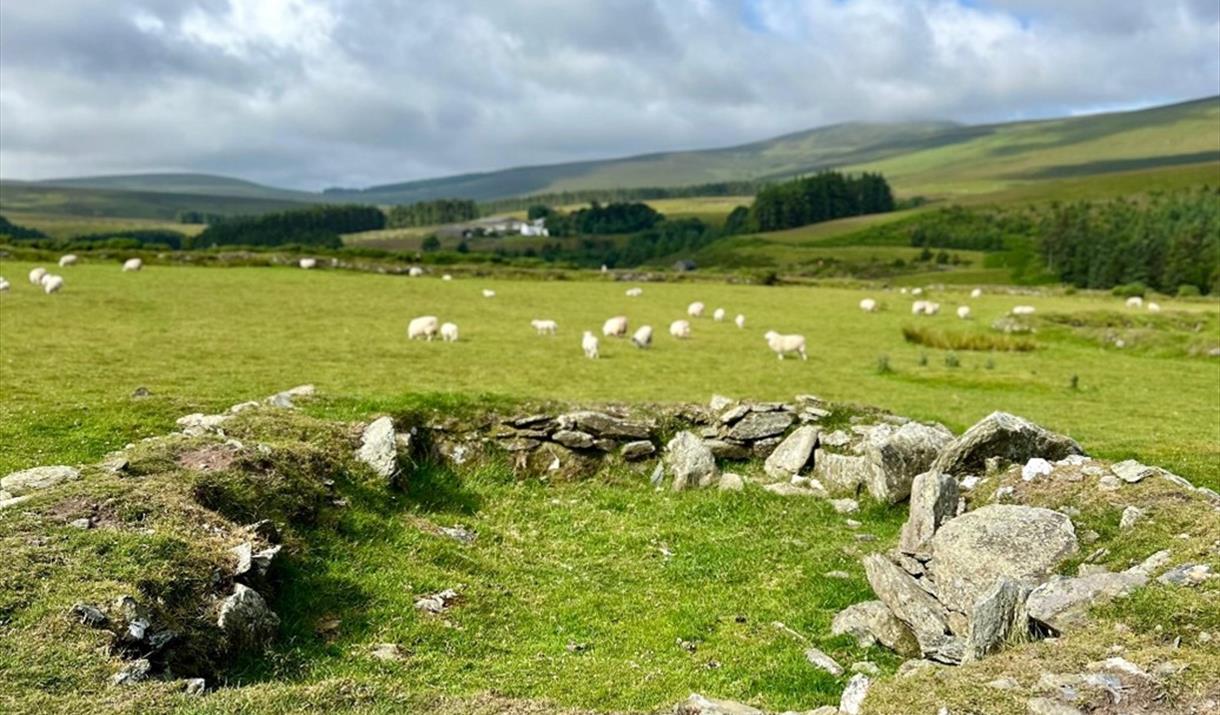 Walk in the Footsteps of Archibald Knox – Upper Sulby Valley