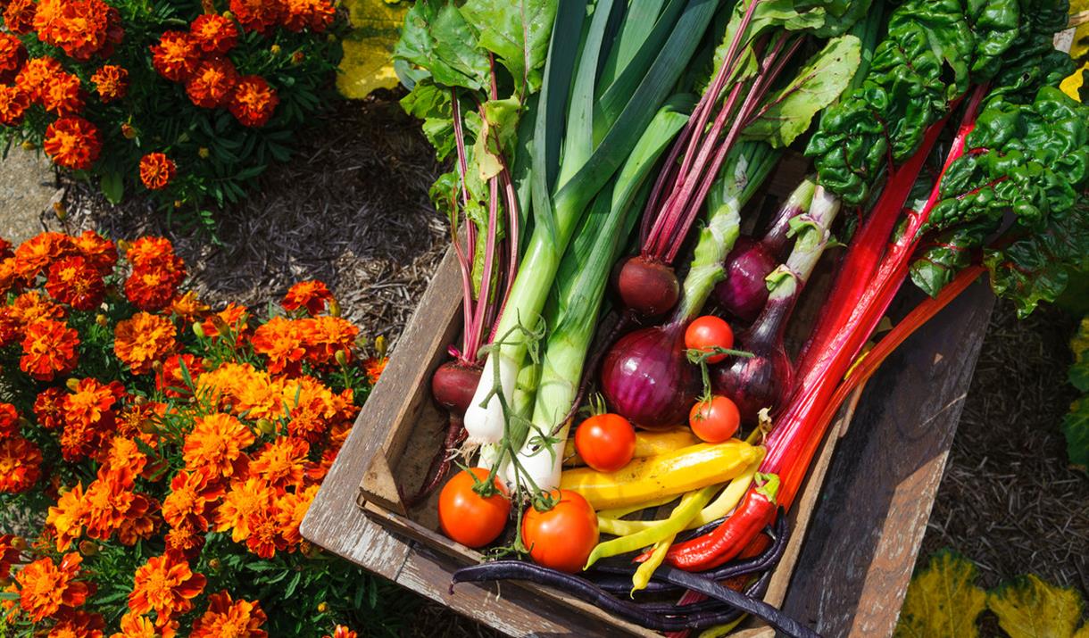 Douglas Farmers' Market