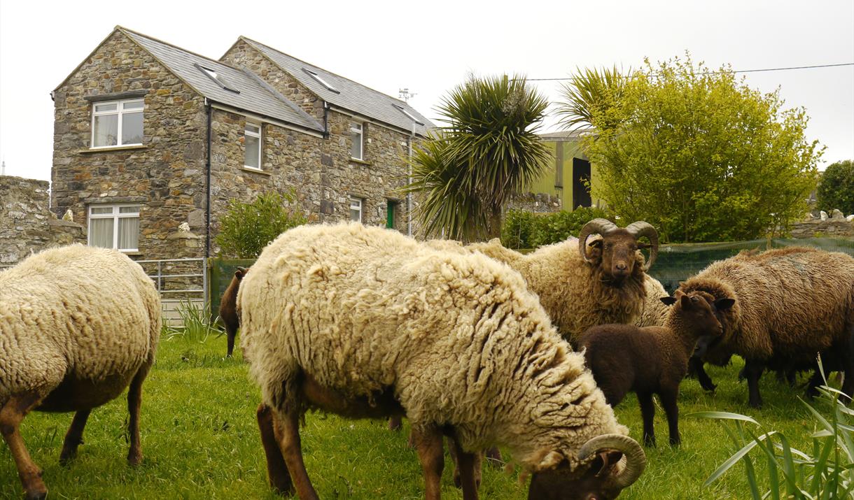 The Stable At Glendown Farm