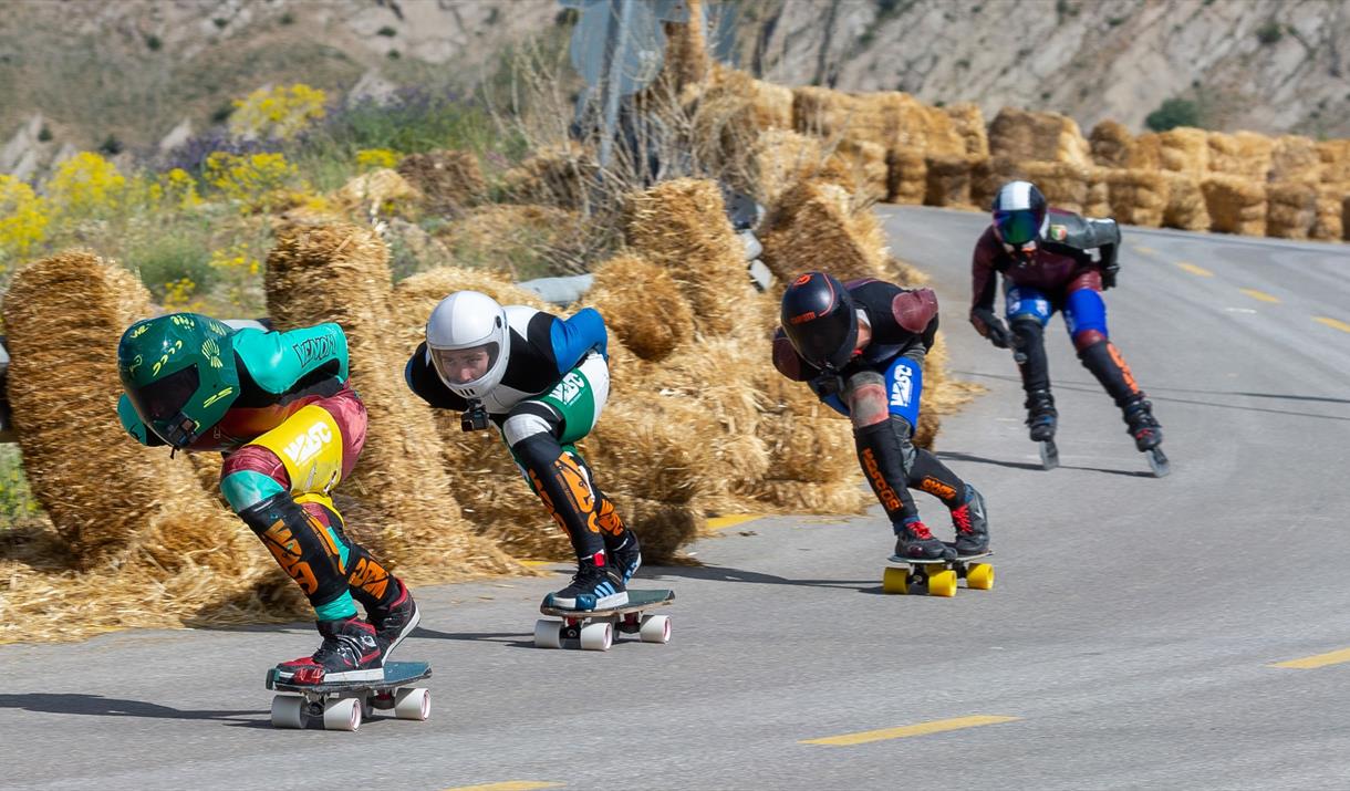 World Downhill Skateboarding Championship
