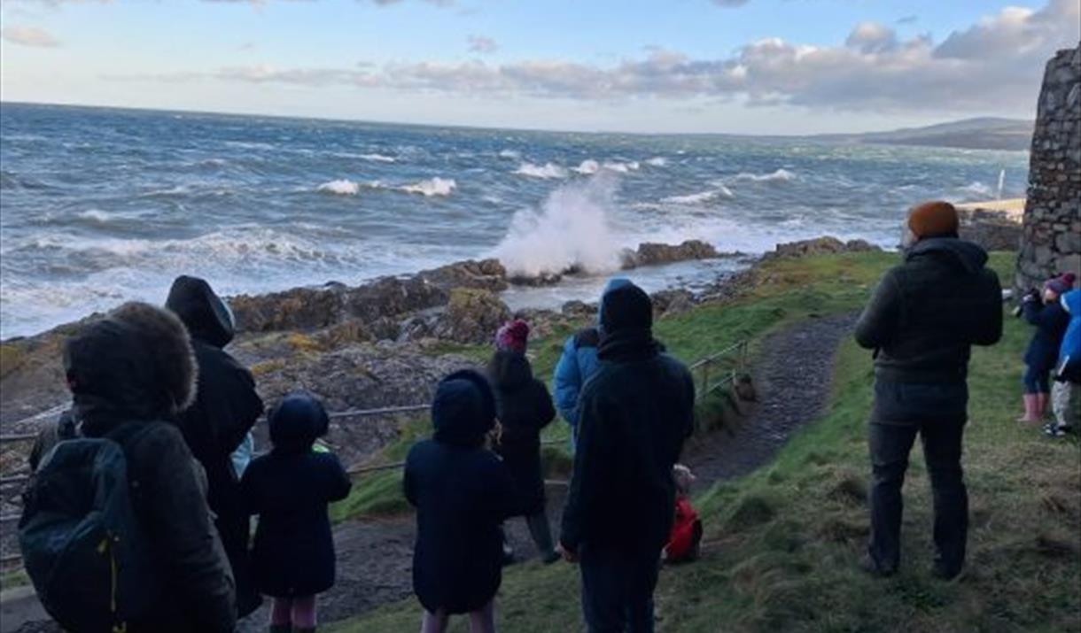 Birds at the coast for Young Birders