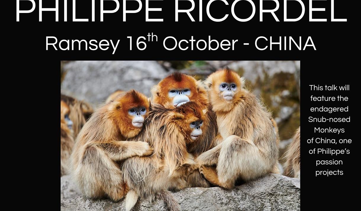 Philippe Ricordel - World Wildlife Photography