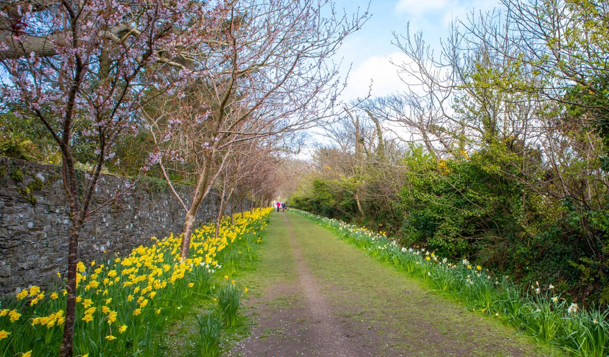 Railway Ramble: Santon Station, Glen Grenaugh, Port Grenaugh and Santon Head