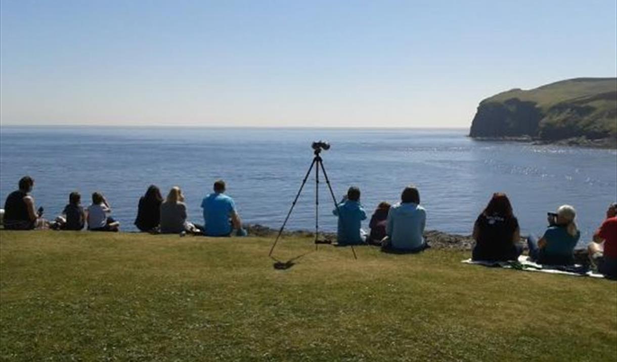 Manx Whale and Dolphin Watch – Sea Watch at the Sound