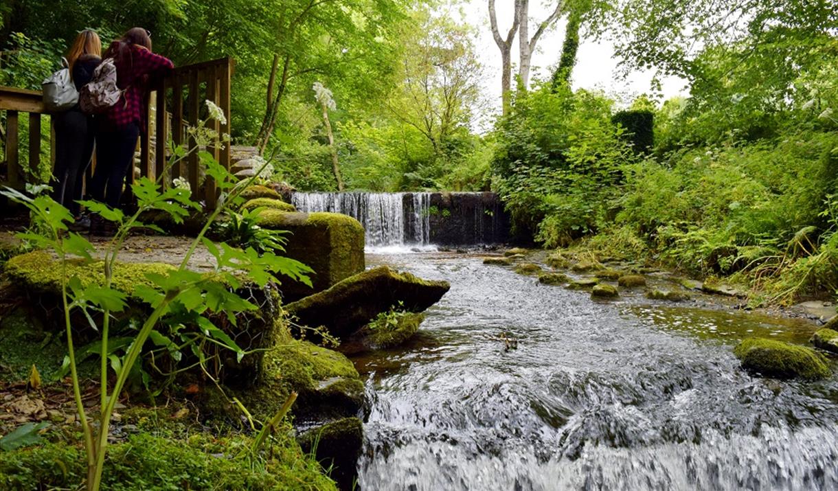 Railway Ramble: Ballasalla, Rushen Abbey, Silverdale Glen, Grenaby