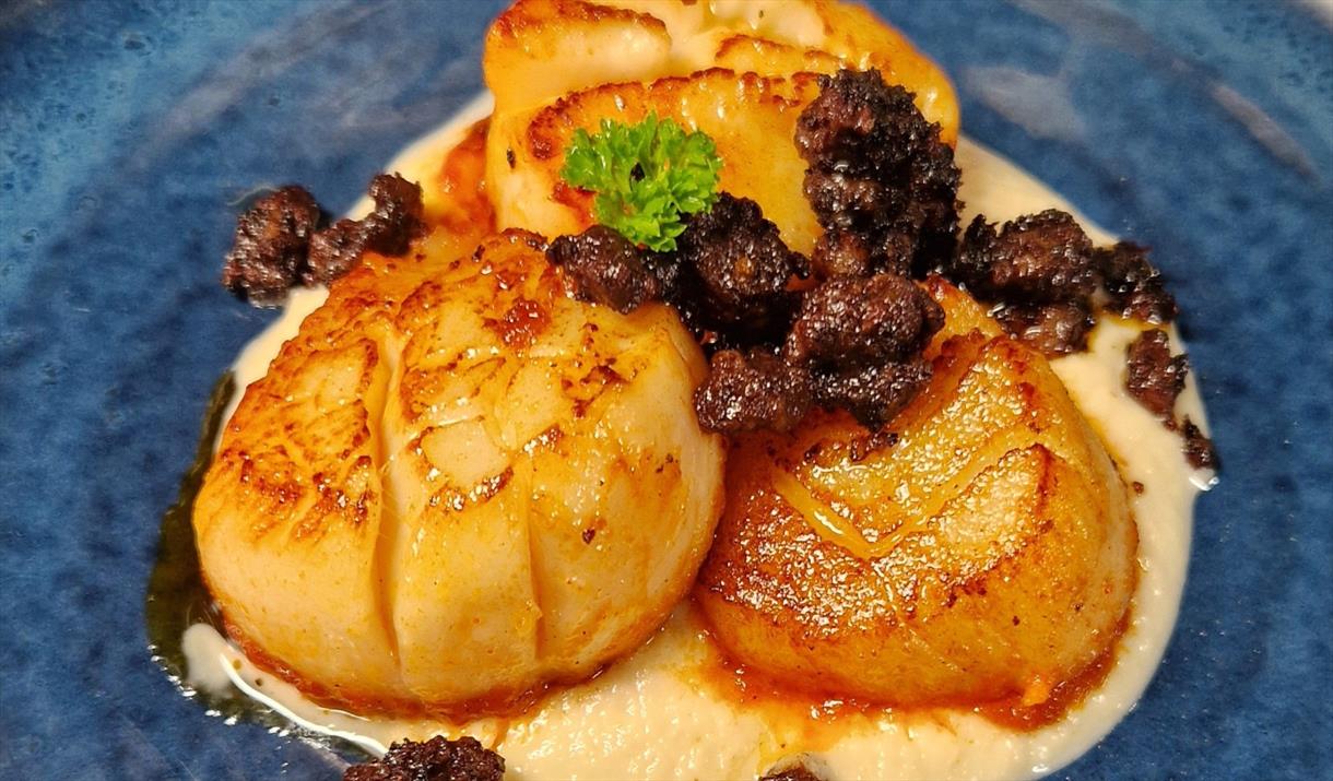 Tapa Viva