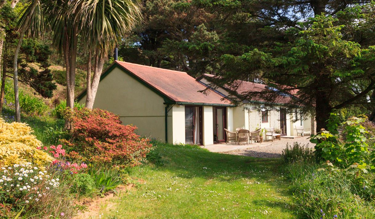 The Pines