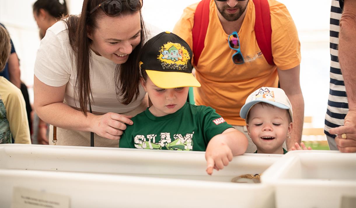 Manx Wildlife Trust Festival of the Sea