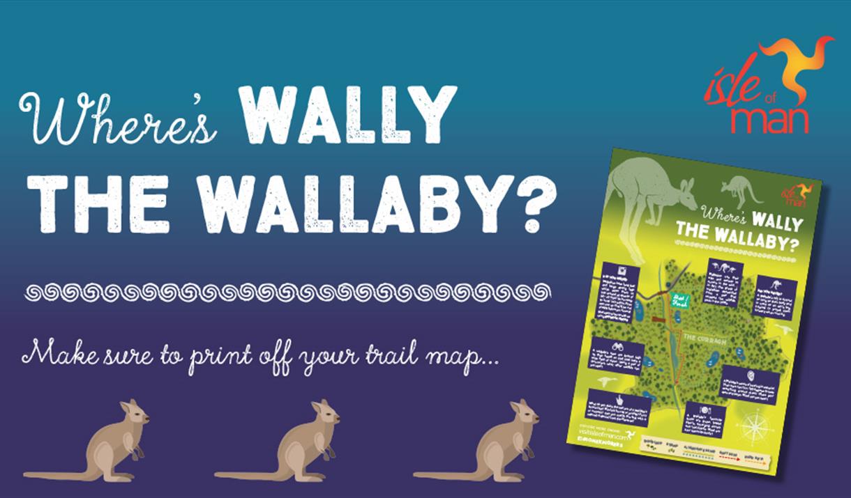 Where's the Wallaby?