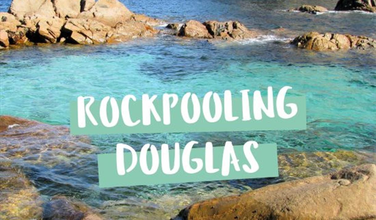 Manx Wildlife Trust – Rockpooling – All Ages