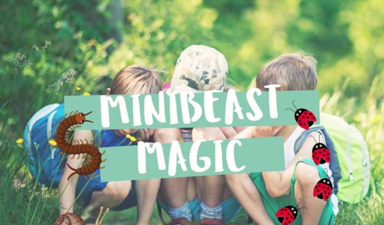 Manx Wildlife Trust – Minibeast Magic