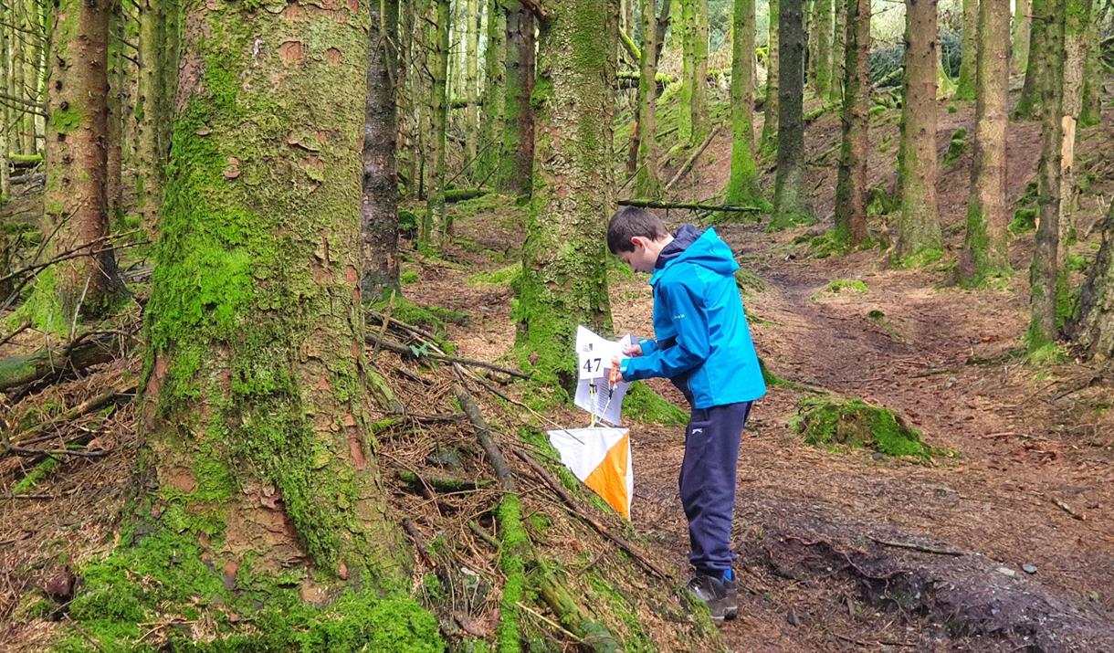 Isle of Man Orienteering Klubb - Spring Challenge Orienteering Event - Ballaglass Glen.