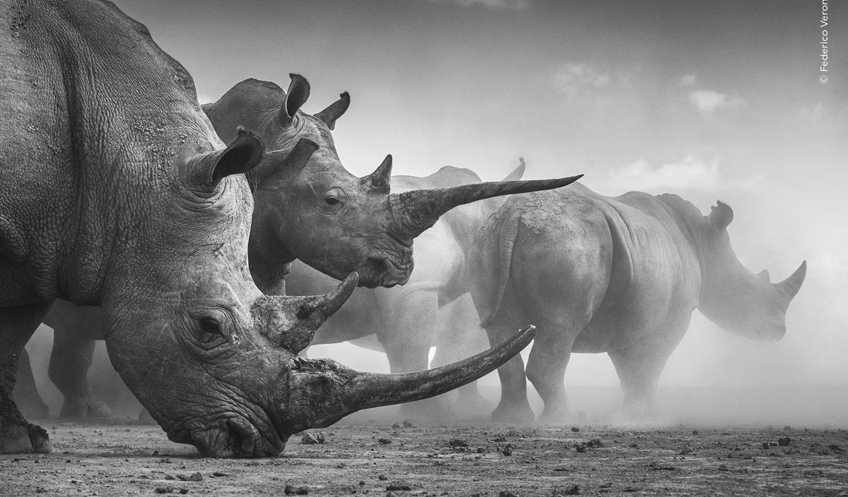 Wildlife Photographer of the Year Exhibition