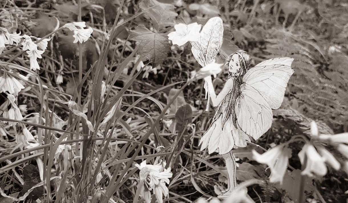 Fairy Lens Adventure and Tea Party