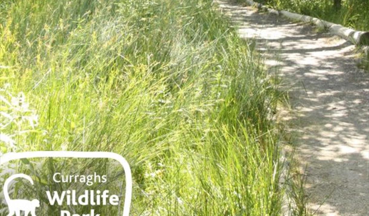 Manx National Heritage