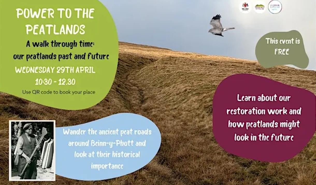 A Walk Through Time: our peatlands past and future