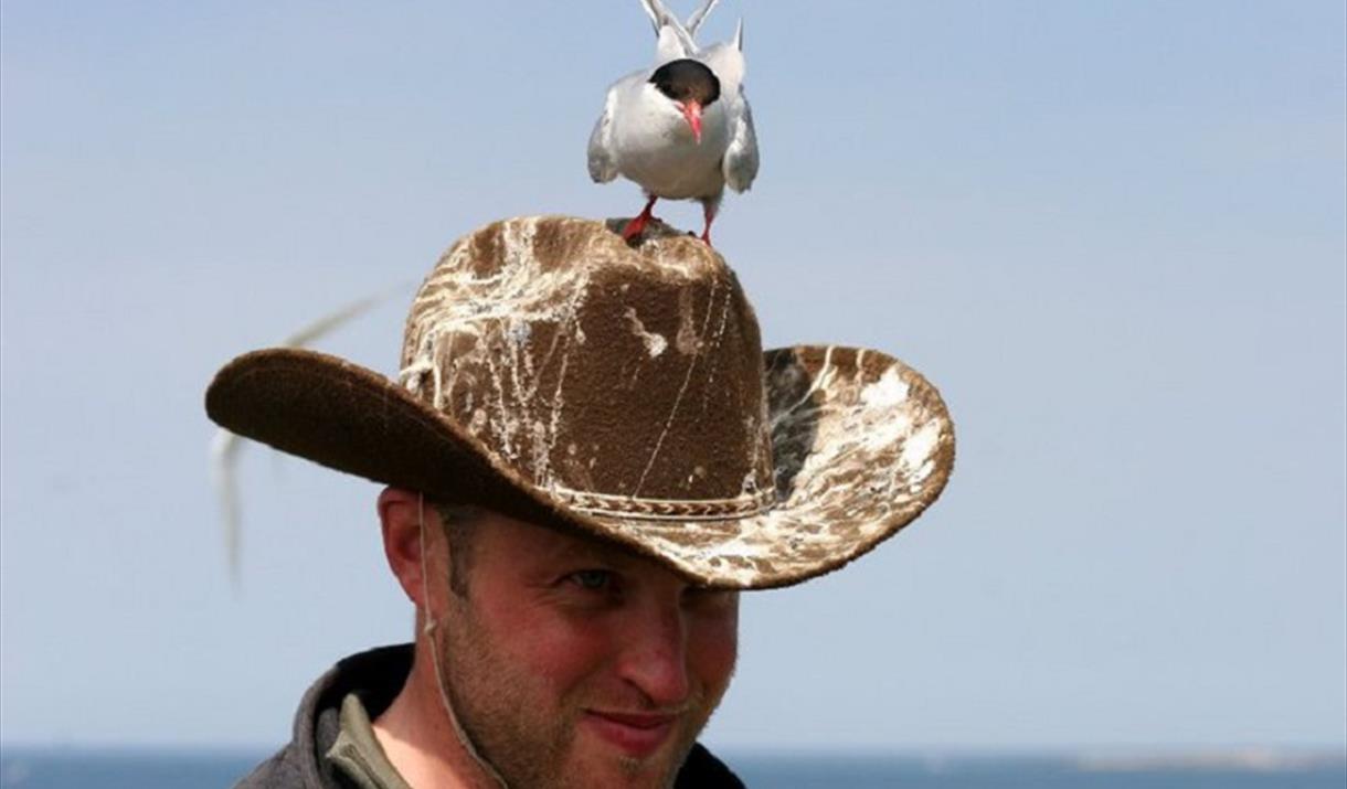 Manx BirdLife - Point of Ayre Reserve