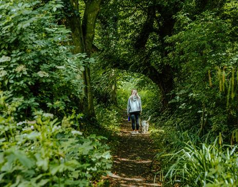 Bishopscourt Glen