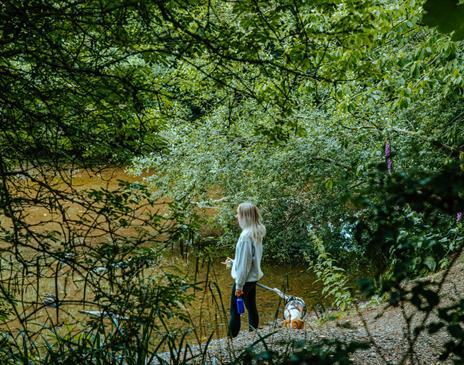 Glens & Forests - Visit Isle of Man