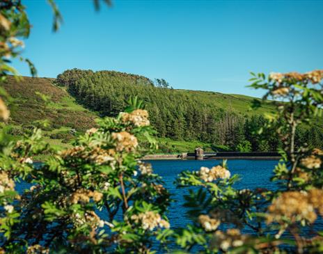 Sulby Reservoir