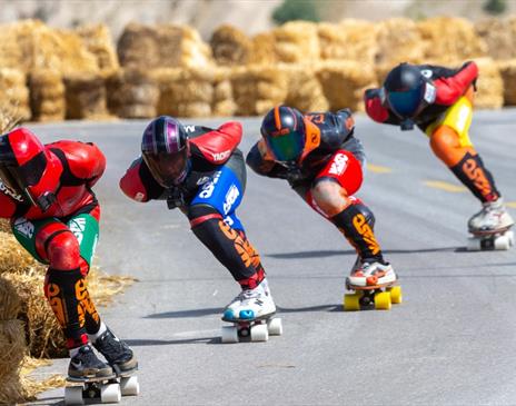 World Downhill Skateboarding Championship