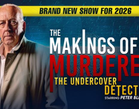 The Makings of a Murderer: The Undercover Detective