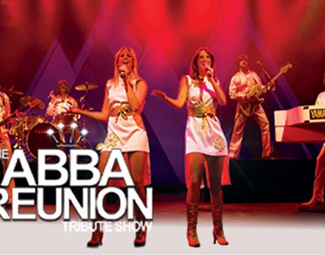 ABBA Reunion Tribute Show