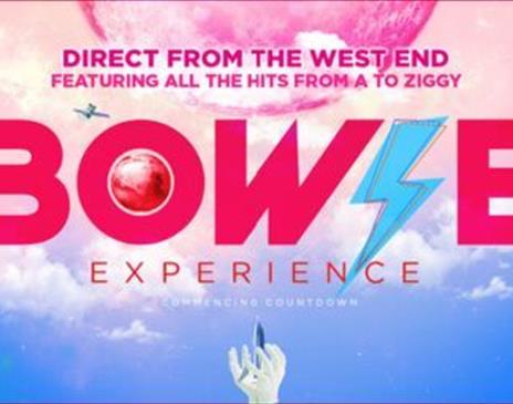 The Bowie Experience