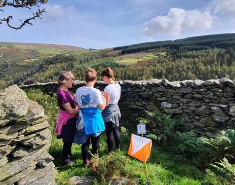 Isle of Man Orienteering Klubb - Easter Monday Orienteering Event - South Barrule Forest