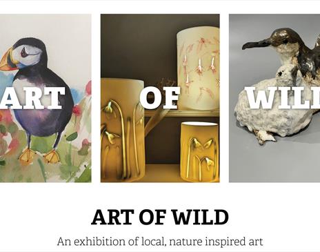 Art of Wild exhibition