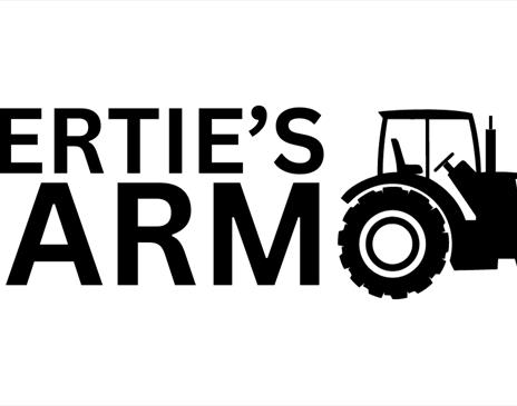 Bertie's Farm Pumpkin Festival