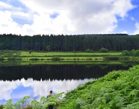 Cringle Reservoir