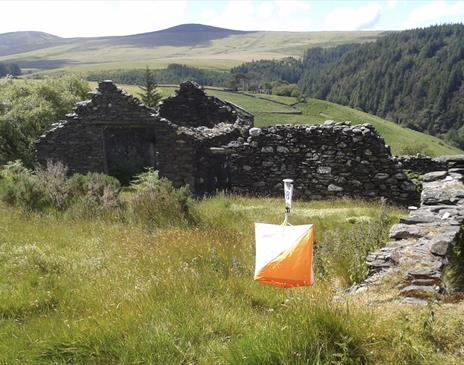 Isle of Man Orienteering Klubb Autumn Challenge Orienteering Event - Tholt y Will Forest & Glen Area