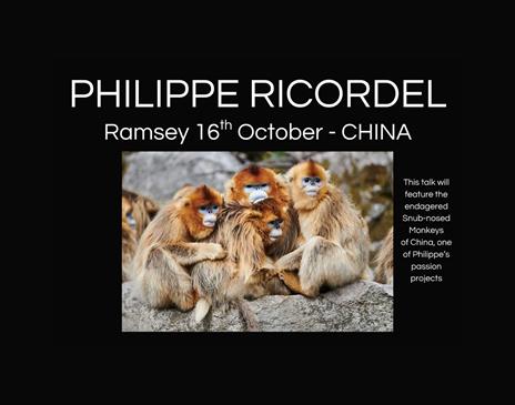 Philippe Ricordel - World Wildlife Photography
