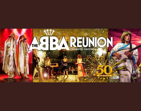 ABBA Reunion Tribute Show