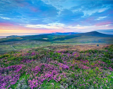 Evening Light on Cronk Ny Arrey Laa