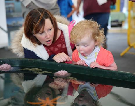 Festival of the Sea