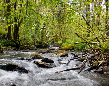 The Glen Roy tributary of the Laxey River