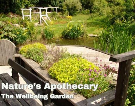 The Manx Herbalist – Nature's Apothecary: The Wellbeing Garden