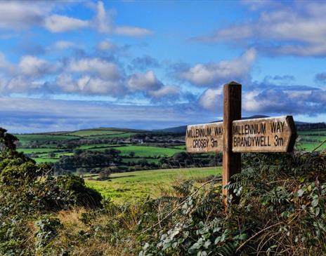 Halfway - Millenium Way Sign