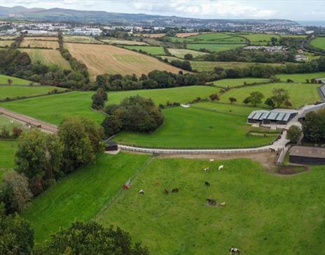 Home of Rest for Old Horses