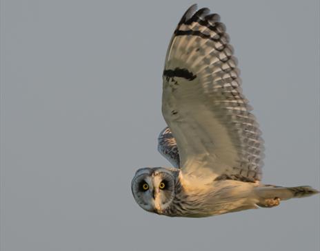 Wild Mann Nature Photography Competition