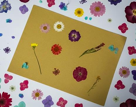 Little Art Explorers – Flower Power