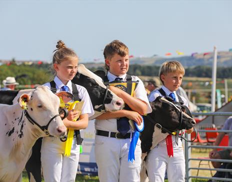 Royal Manx Agricultural Show